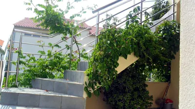 Apartament 1 - 8